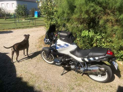 R 1150 R 80er Jahre Edition.jpg