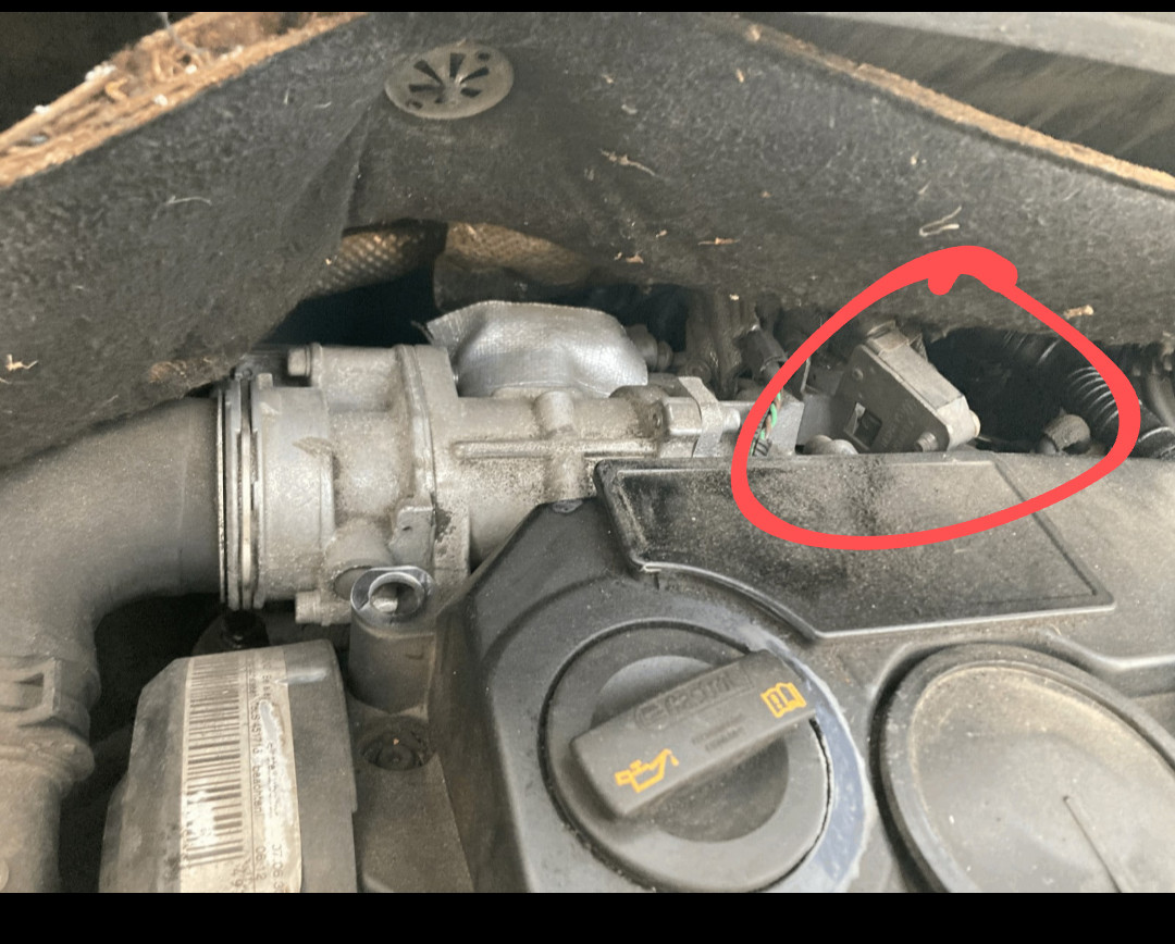 Wenn Motor kalt, funktioniert zeitweise das Gaspedal nicht.