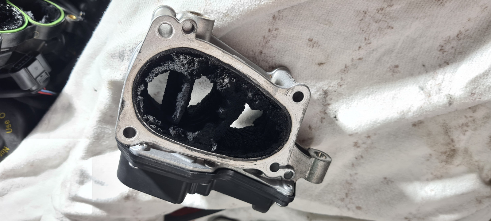 Durch AGR verkokte Drallklappe und Ansaugbrücke