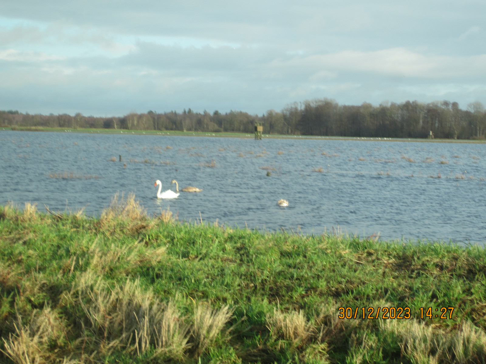 Der Schrottplatz - Spiegelsymmetrisch des Showrooms