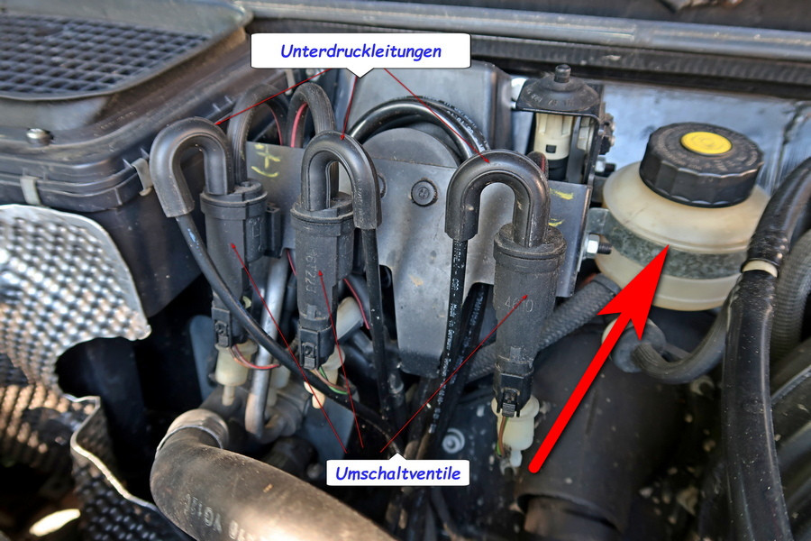 Sperren im Winterschlaf?