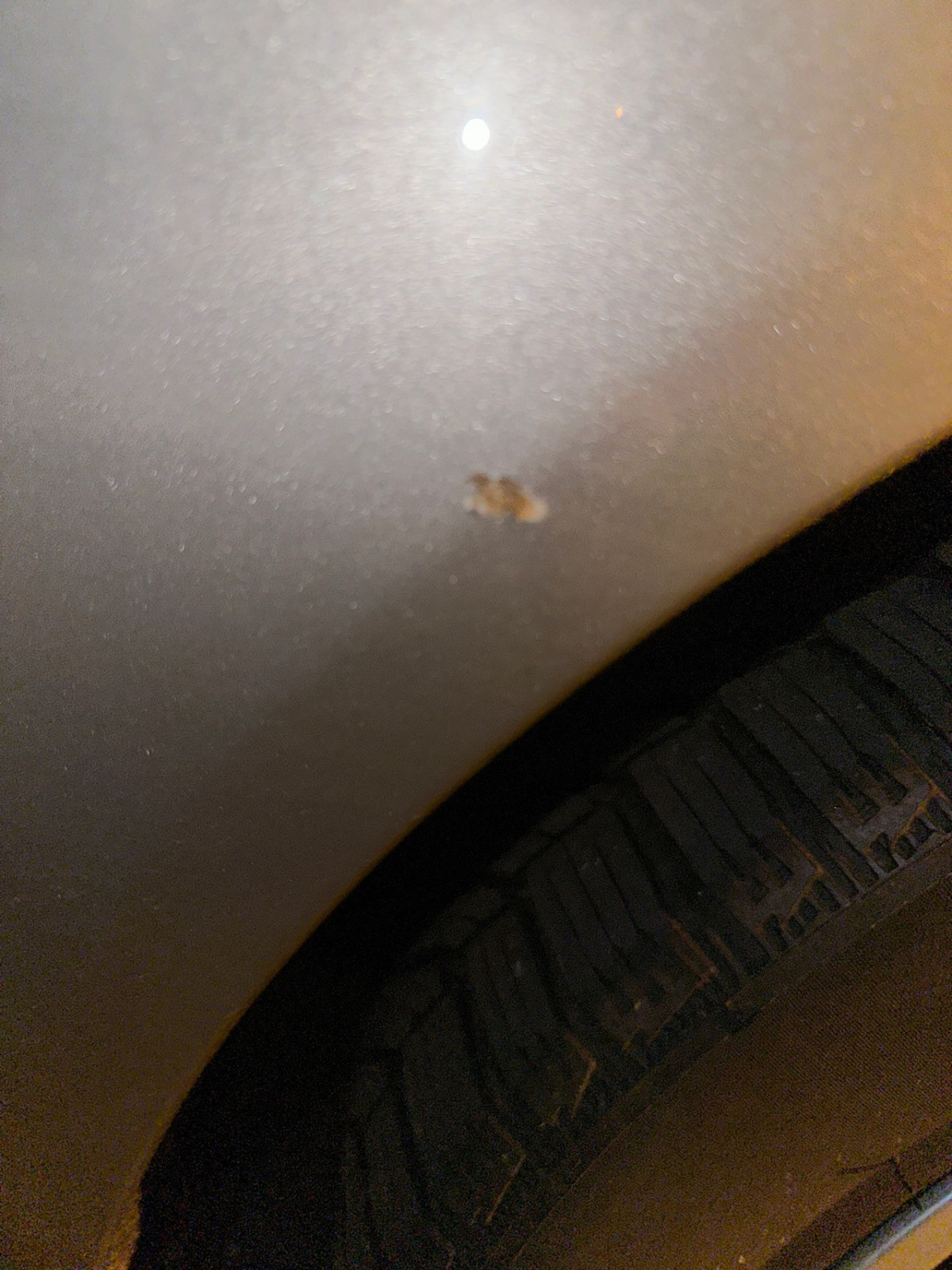 Rostfleck auf Karosserie