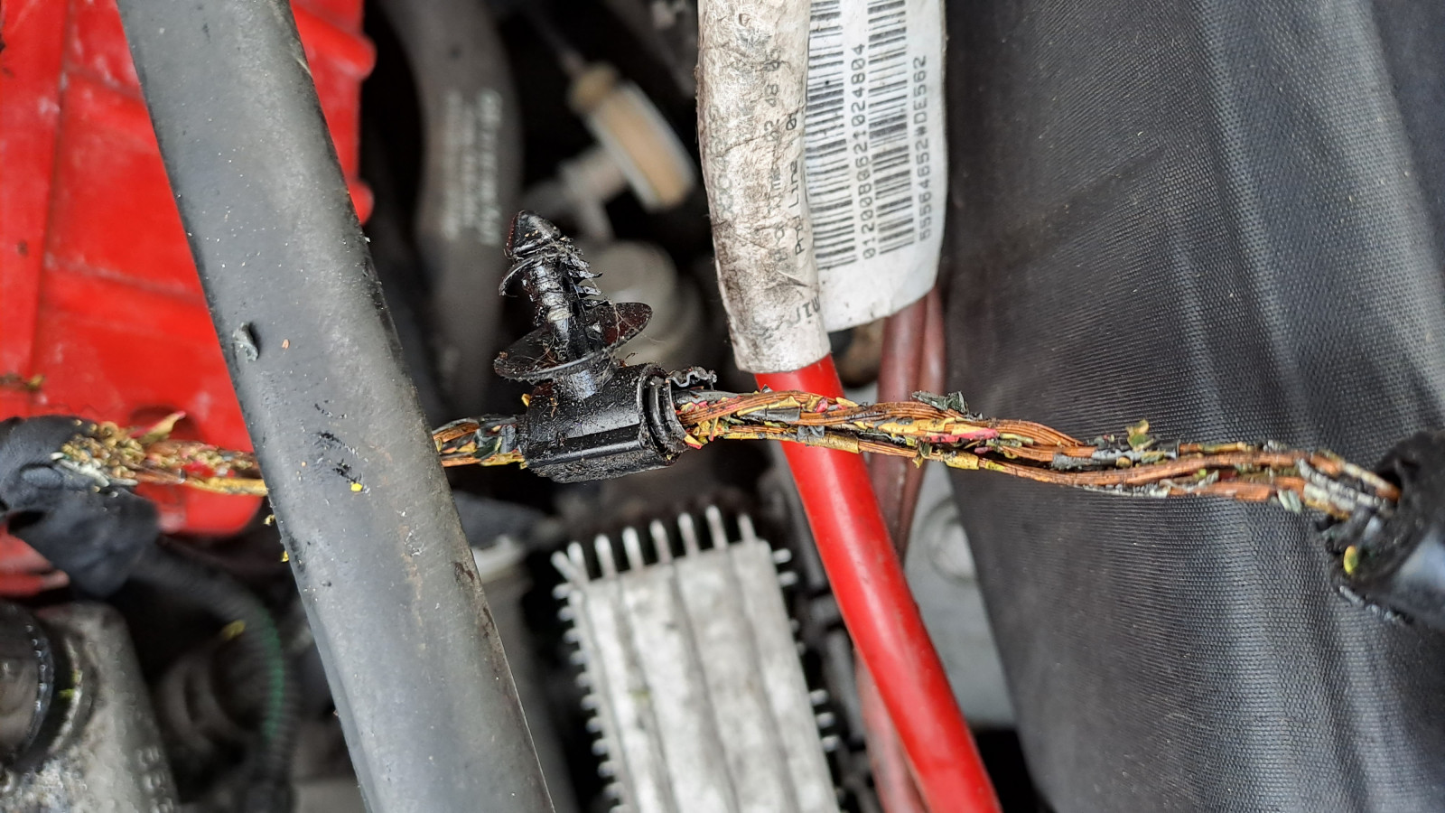 Z19DTH, 1.9CDTI Drosselklappe P1125(21) und P0638(04)