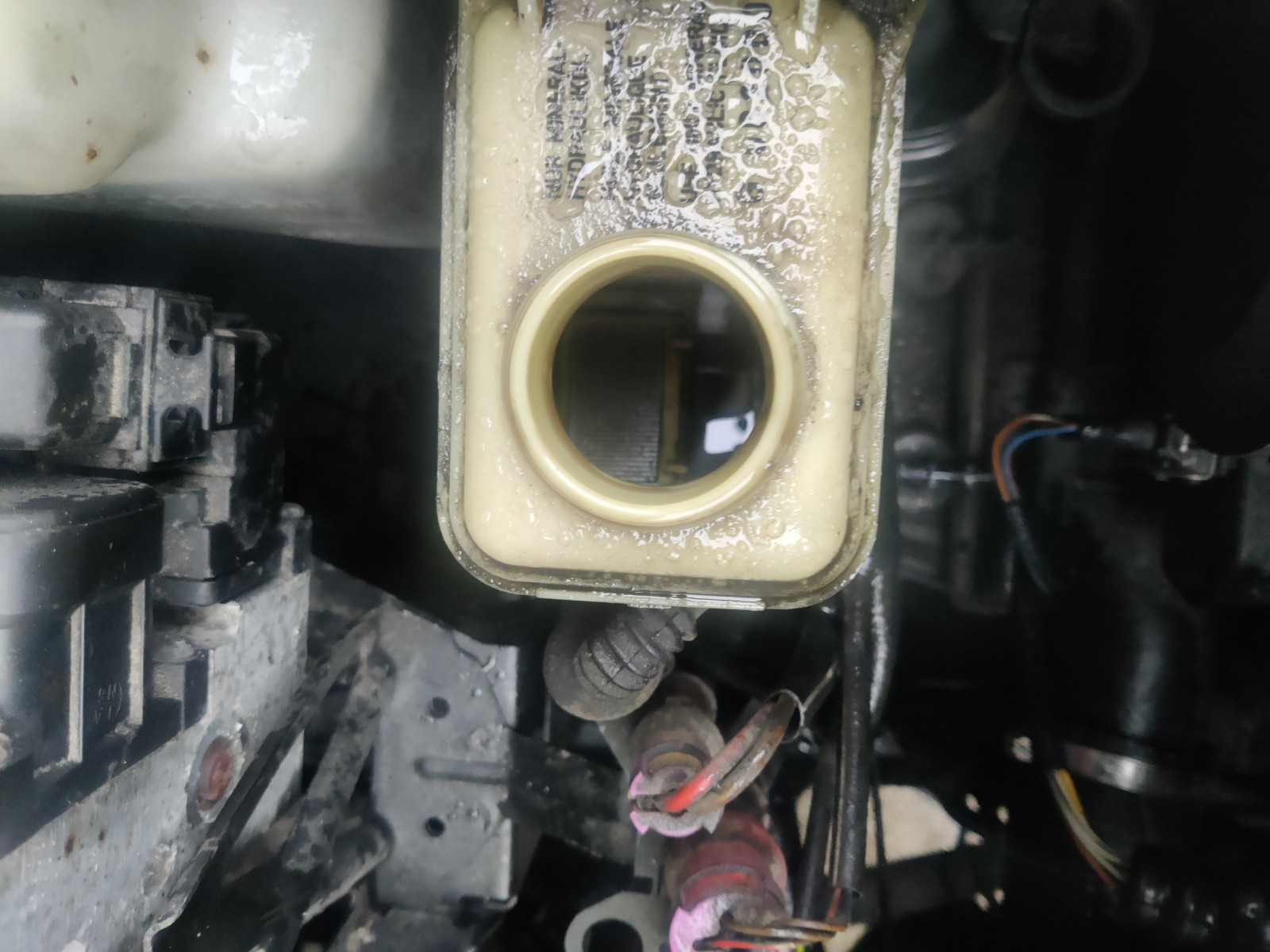 Servopumpe undicht. Noch rettbar?