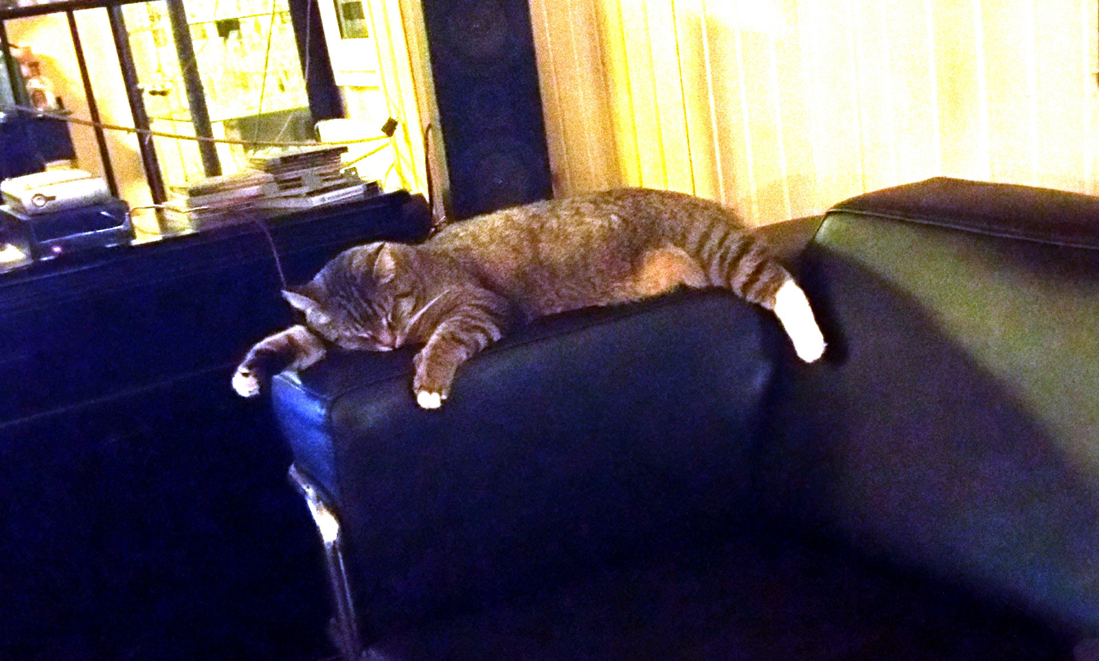 Kopfstützen finden nicht ihre Endposition?