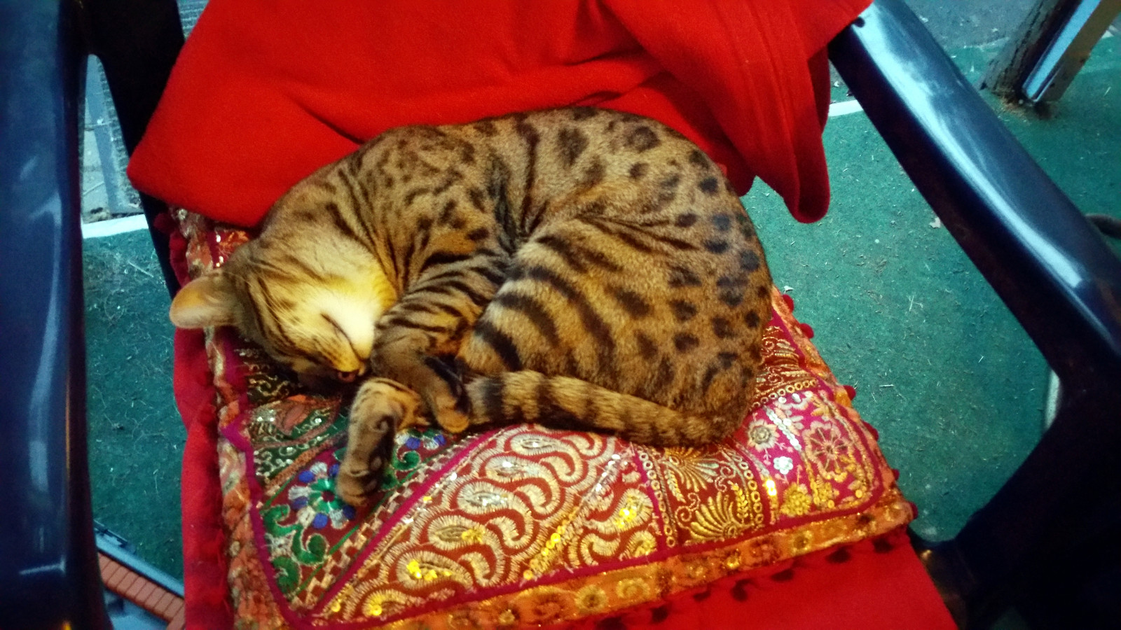 Kopfstützen finden nicht ihre Endposition?