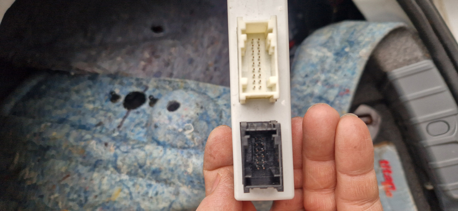 Can bus leitung high and low. stromlaufplan