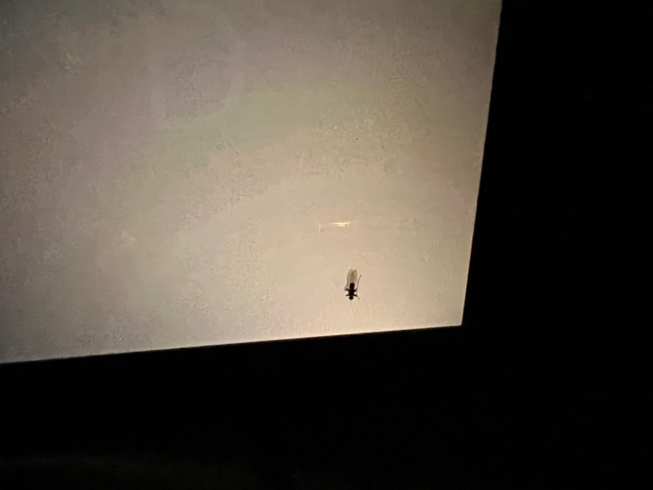 Zuverlässigkeit G21/G20