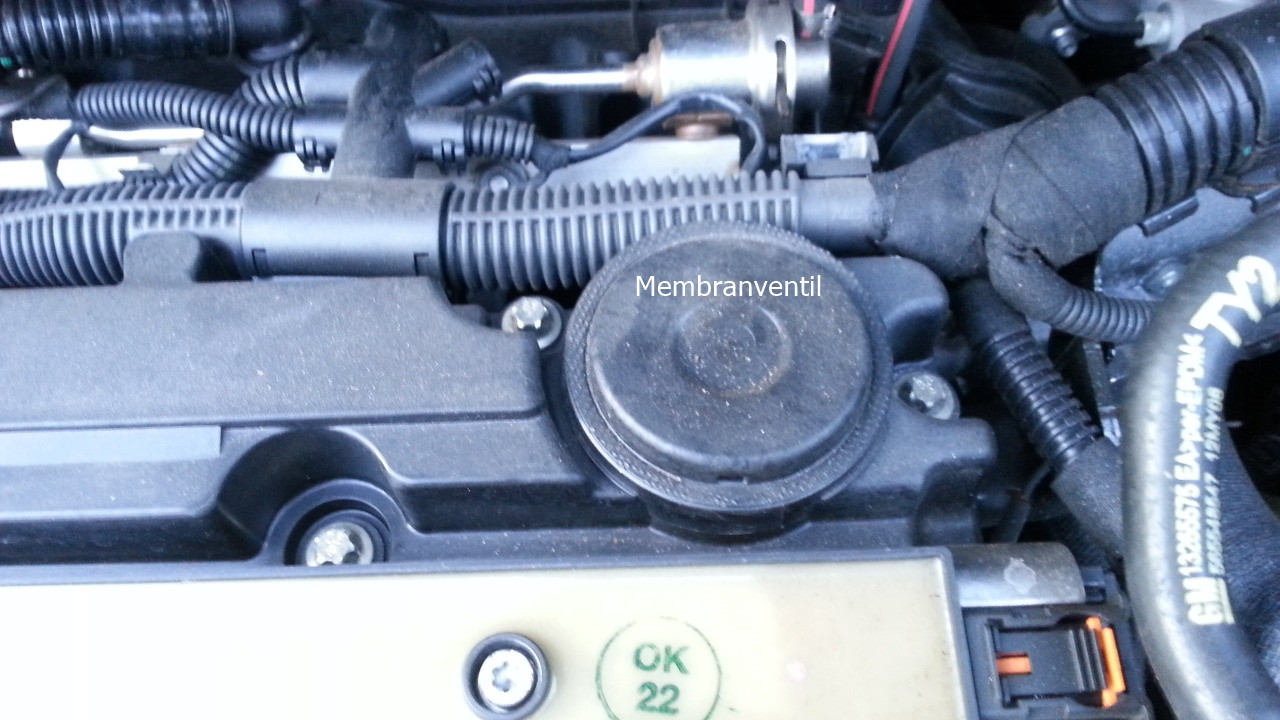 Fehlercode 0171 nach dem tanken