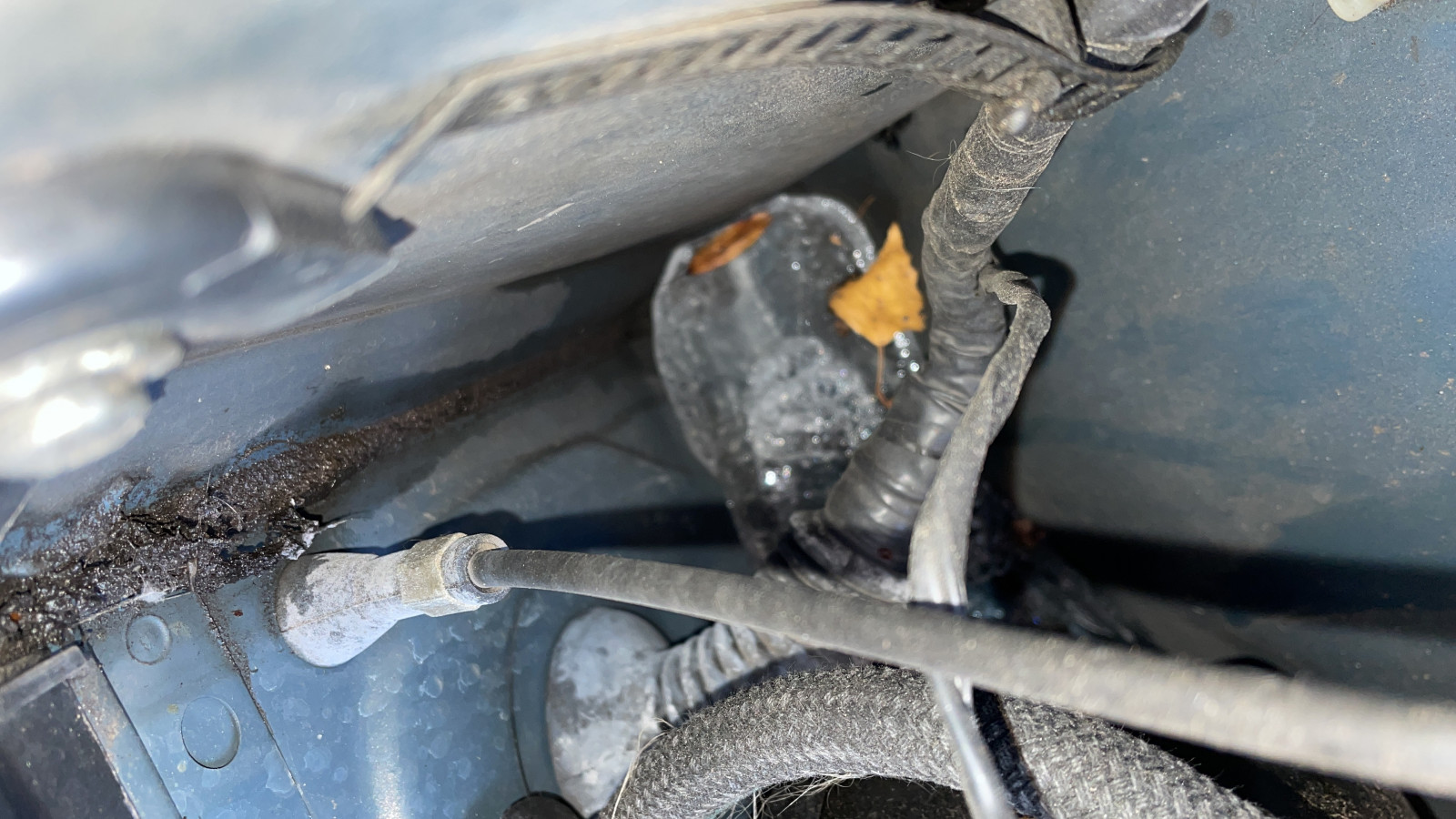 Wasser beim Bremskraftverstärker