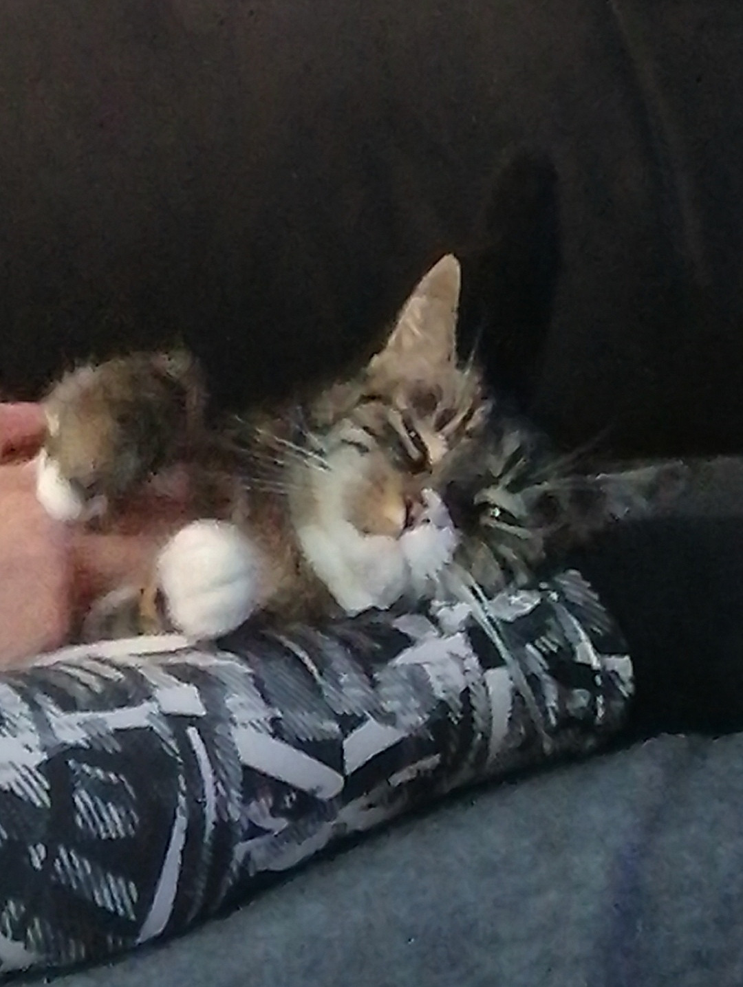 Der Schrottplatz - Spiegelsymmetrisch des Showrooms