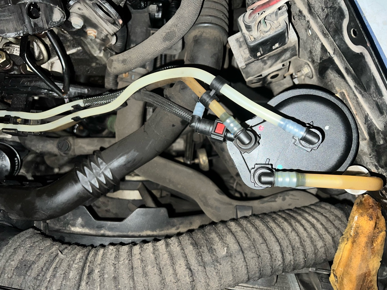 Kein Raildruck nach Austausch der Injektoren