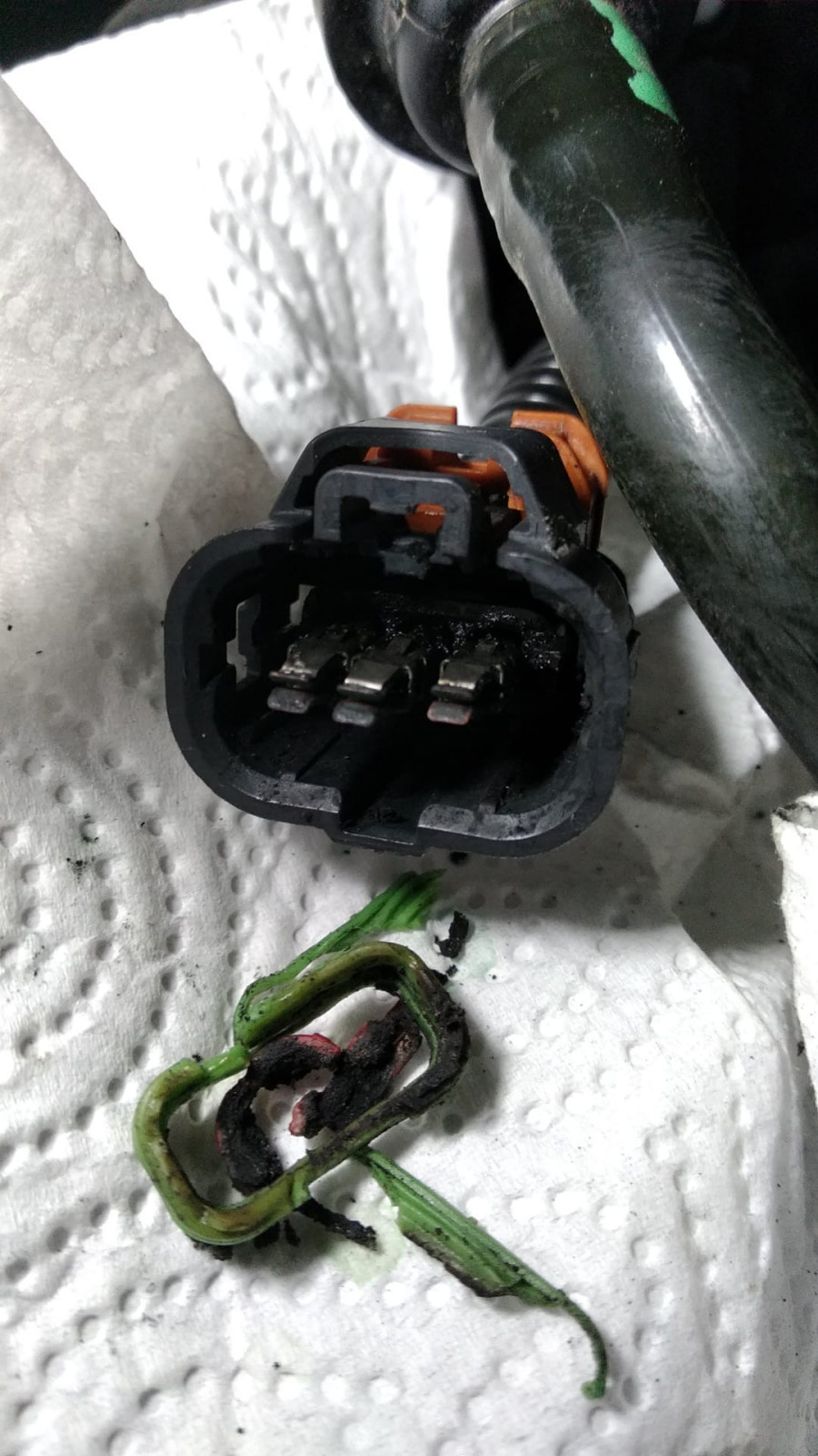 Zündspulen Stecker C3-III verkokelt - suche Ersatz