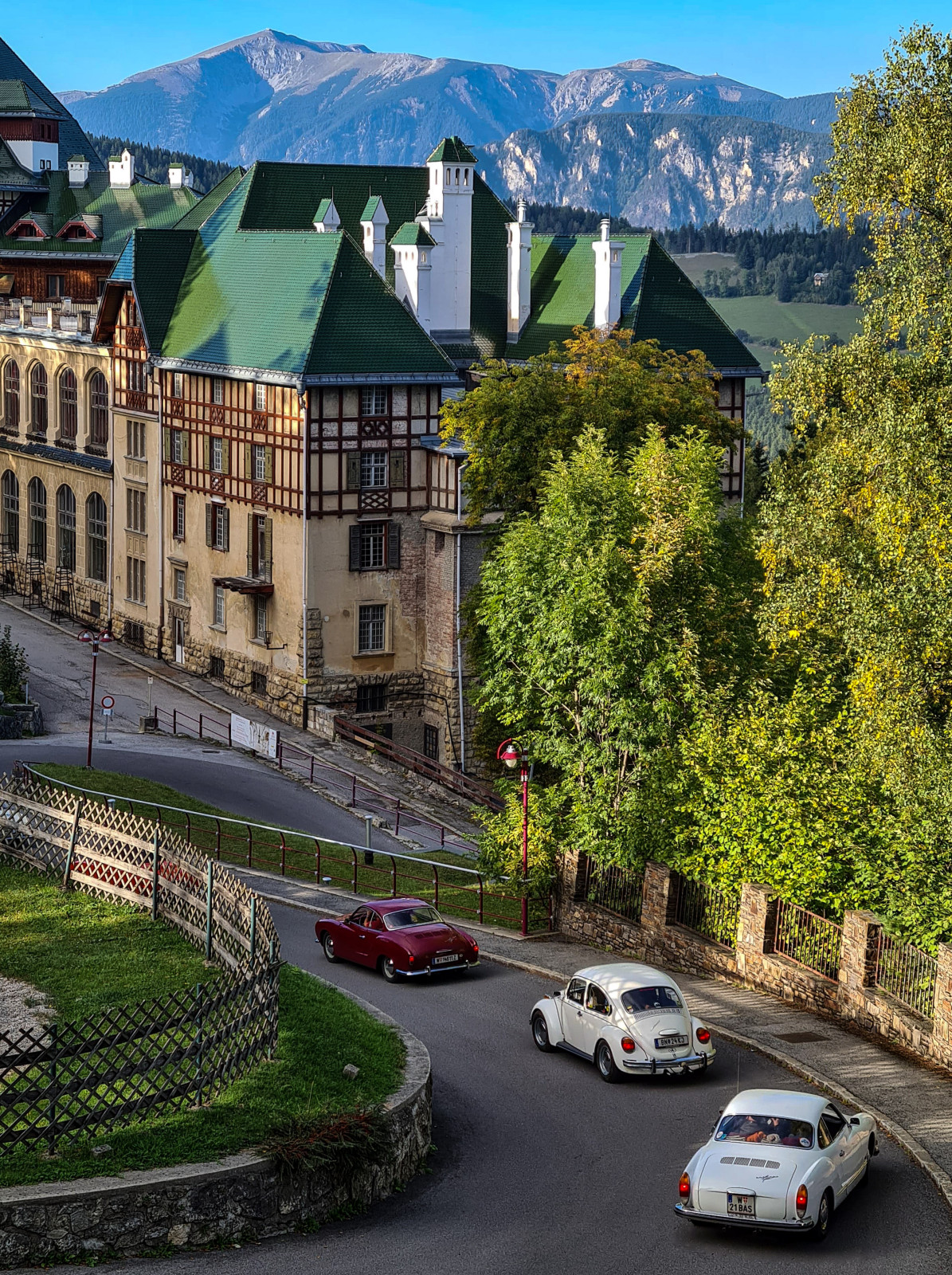 Eure schönsten Käfer-Fotos