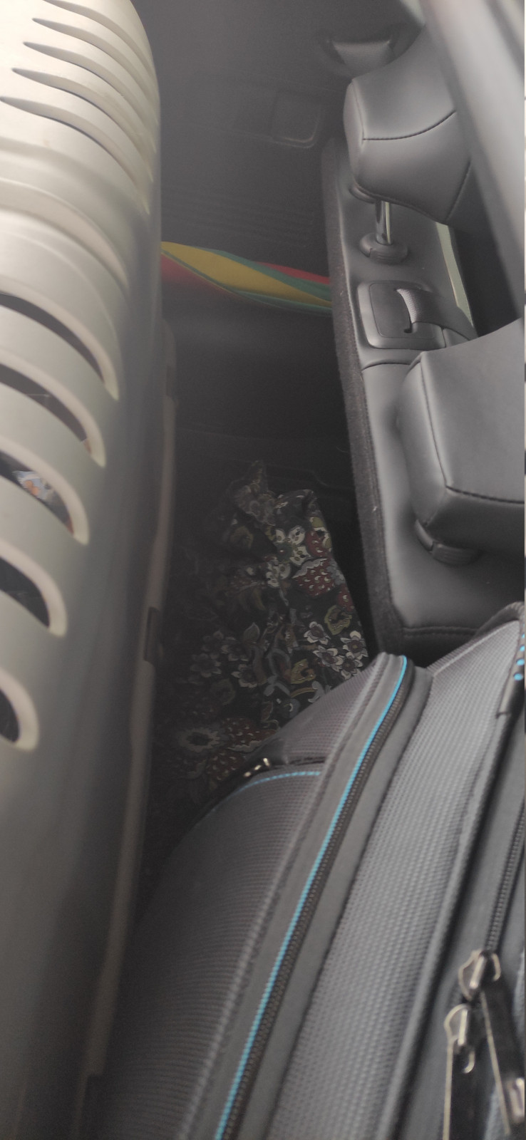 Kia EV6 Kofferraum mit Hund