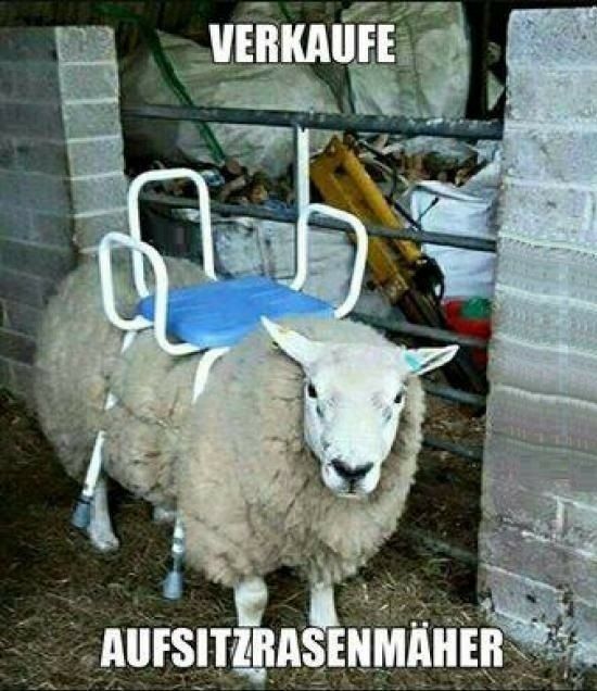** Der tägliche Wahnsinn! - Community-Thread **
