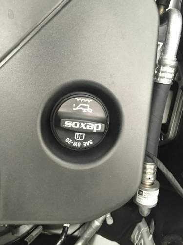 Img-1652
