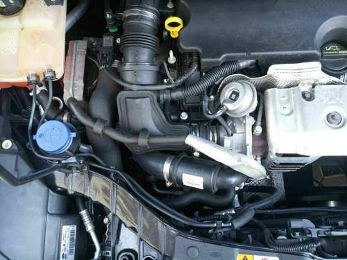 Ecoboost112014-kuehlerschlaeuche