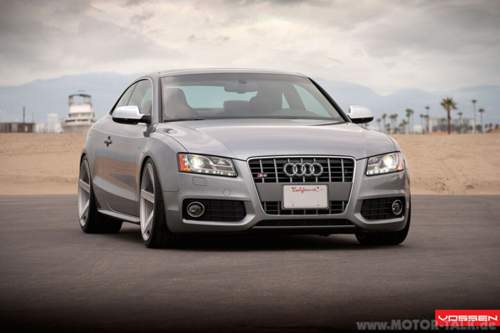 Vossen-2
