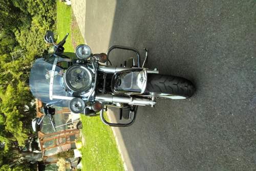 IMG_2021-05-01_16-26-46.jpeg