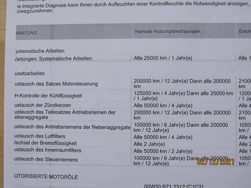 efeutute lcher in blttern Gefleckte Efeutute