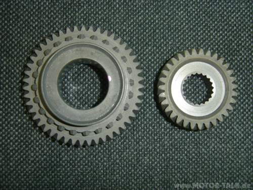 Langer-5