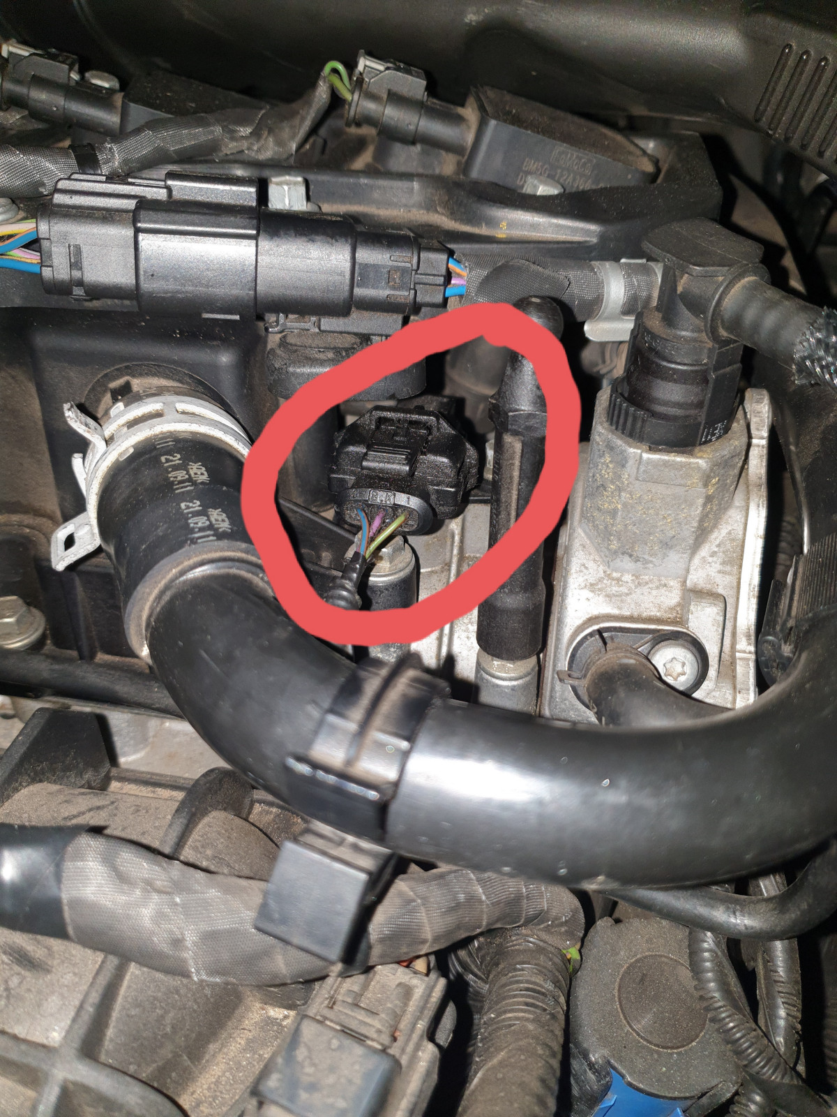 1.6 EB - Nockenwellensensor anlernen bzw. zurücksetzen?