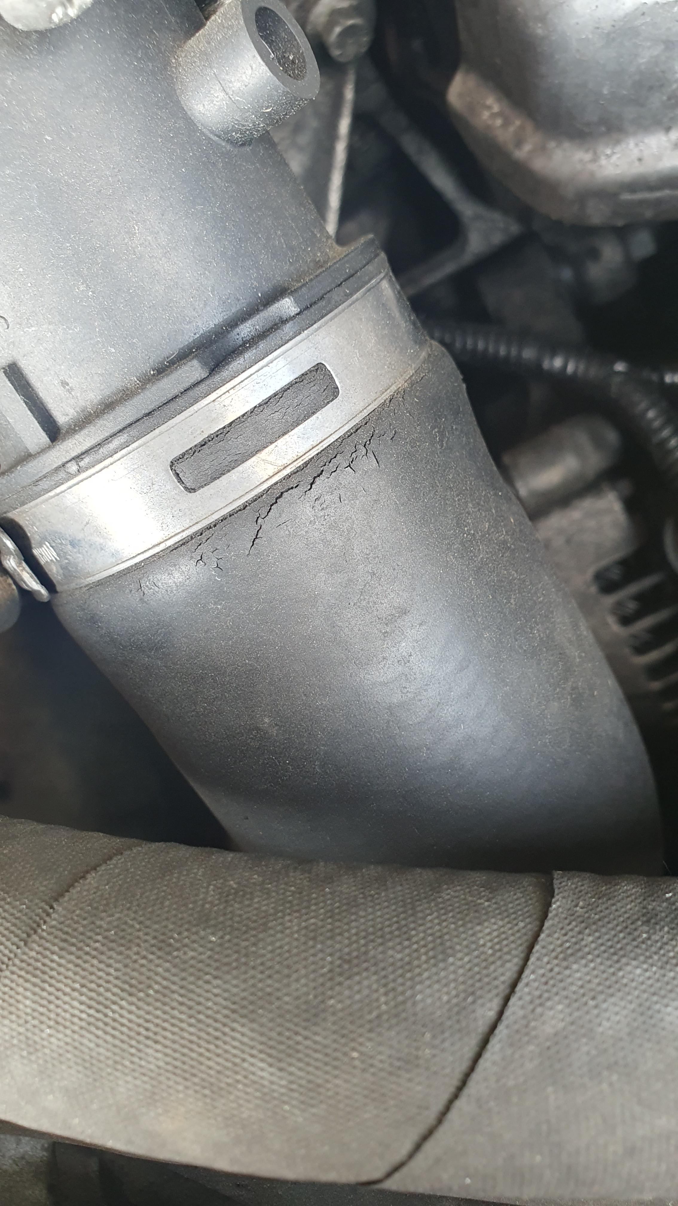 1.6 TDCi Ladeluftschlauch Mini-Risse