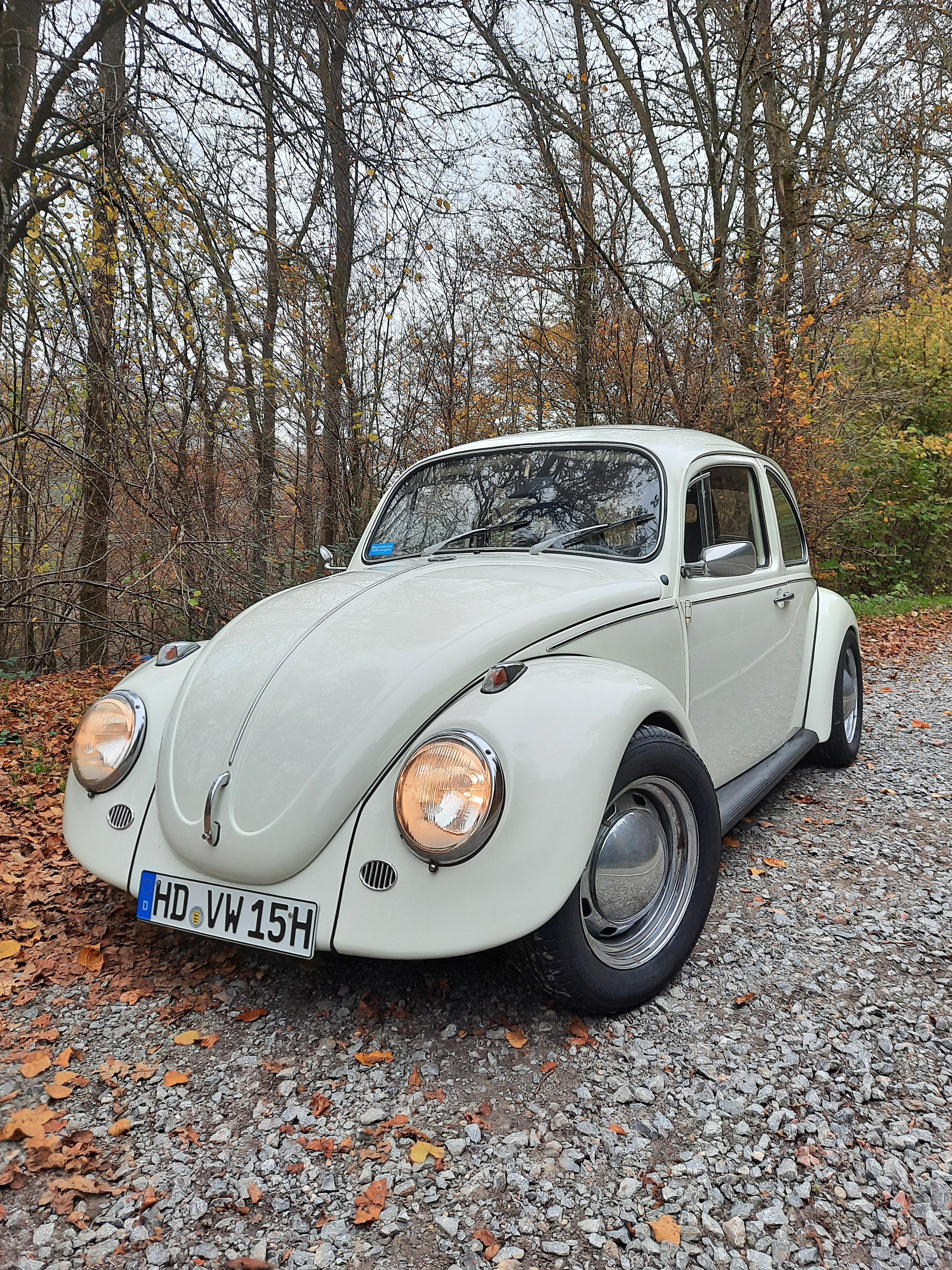 1641 Motor - Wie viel Leistung