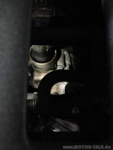 Foto-2