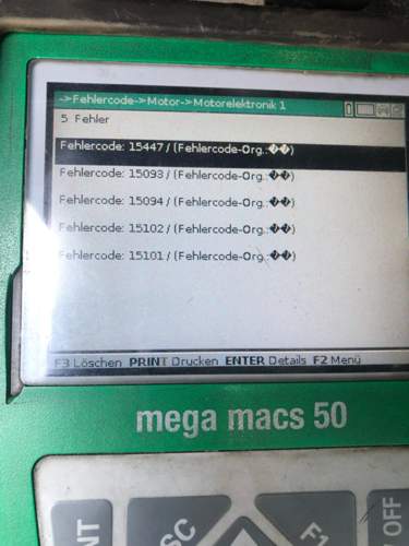 Bild.jpg