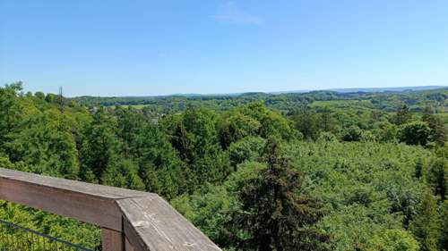 Blick über die Baumwipfel