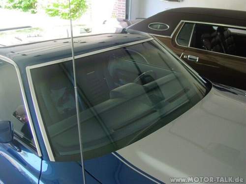 Windshield