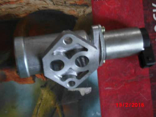 Dsci0038