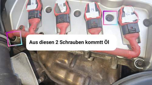 Diese 2 Schrauben sind ölig