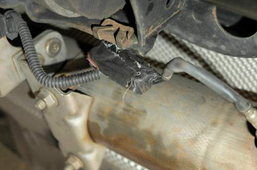 Temp sensor