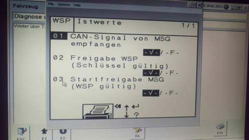 Wsp-1