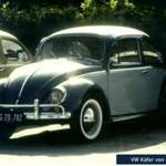 Vw-kaefer-von-naxel63