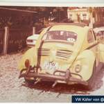 Vw-kaefer-von-callusa
