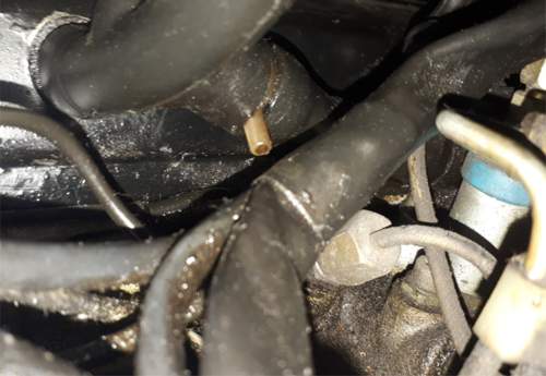 Motor1