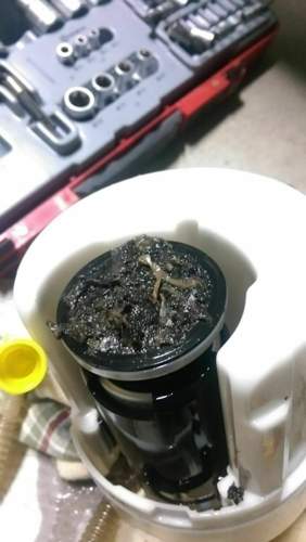 Imag0337