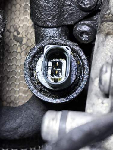 Stecker