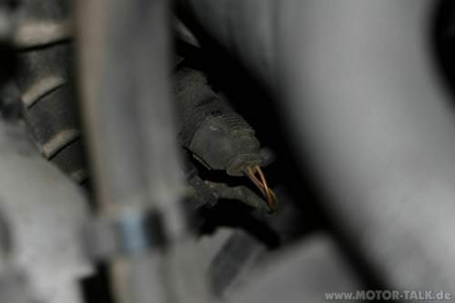 Img-1690