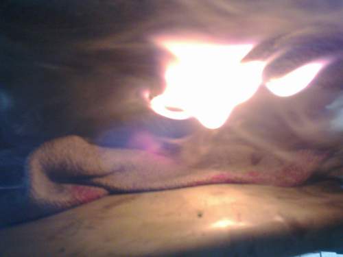 Bild-6