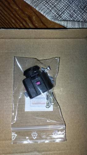 Img-20240619