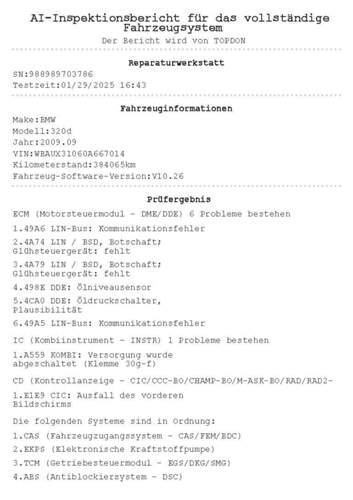 Diagnosebericht