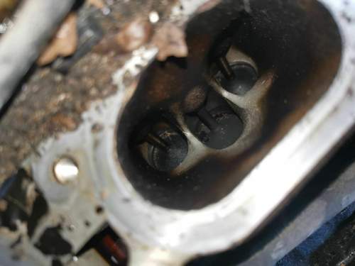 Img-20200913