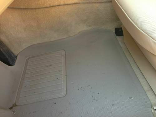 Img-3631