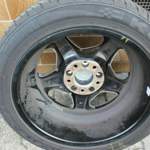 Img-8194