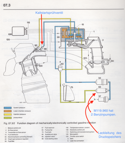 Cis-e